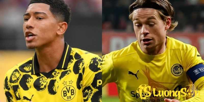 Phân tích kèo vs tỷ số trận đấu ngày 11/12 Dortmund vs Bodo Glimt